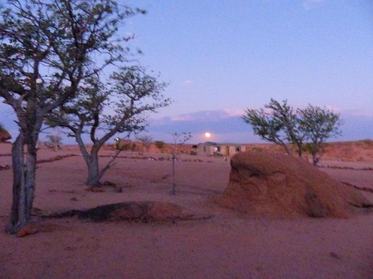 Ozohere Campsite And Himba Village Uis 외부 사진